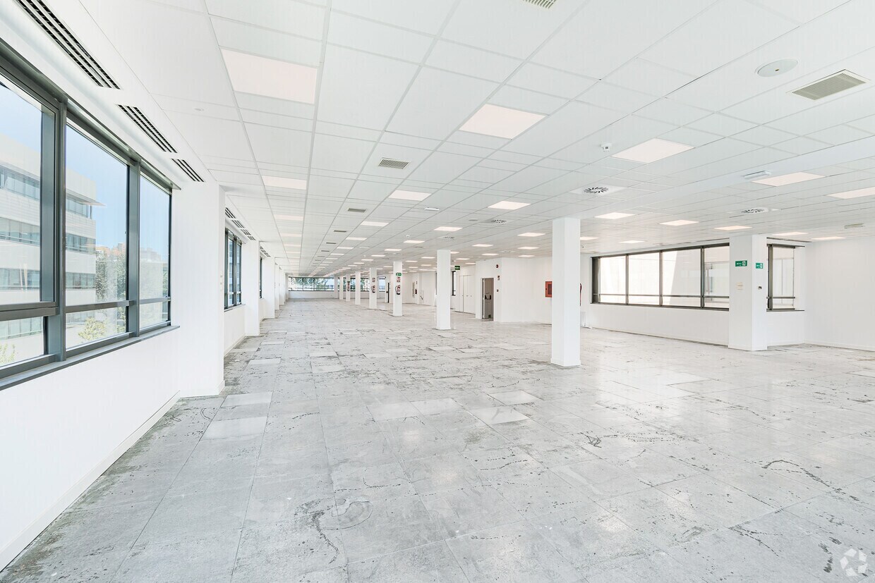 Calle Julián Camarillo, 4 C, Madrid, Madrid for lease Interior Photo- Image 1 of 3