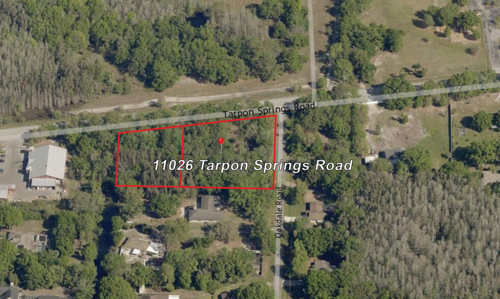 11026 Tarpon Springs Rd, Odessa, FL for sale - Other - Image 1 of 5