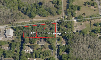 More details for 11026 Tarpon Springs Rd, Odessa, FL - Land for Sale