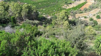 Land in Pego for sale - Building Photo - Image 2 of 10