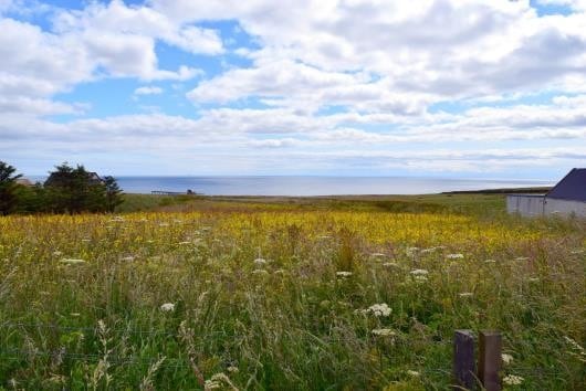 Mains of Forse, Latheron for sale Primary Photo- Image 1 of 1