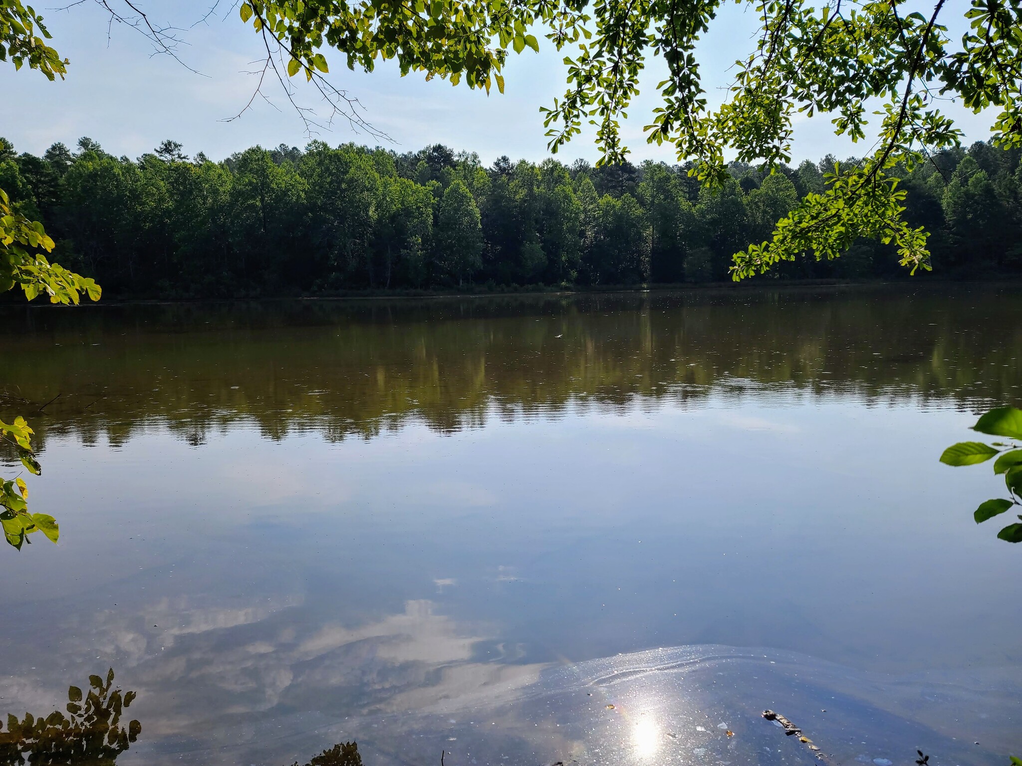 679 Stamp Creek Rd, Salem, SC for sale Primary Photo- Image 1 of 1