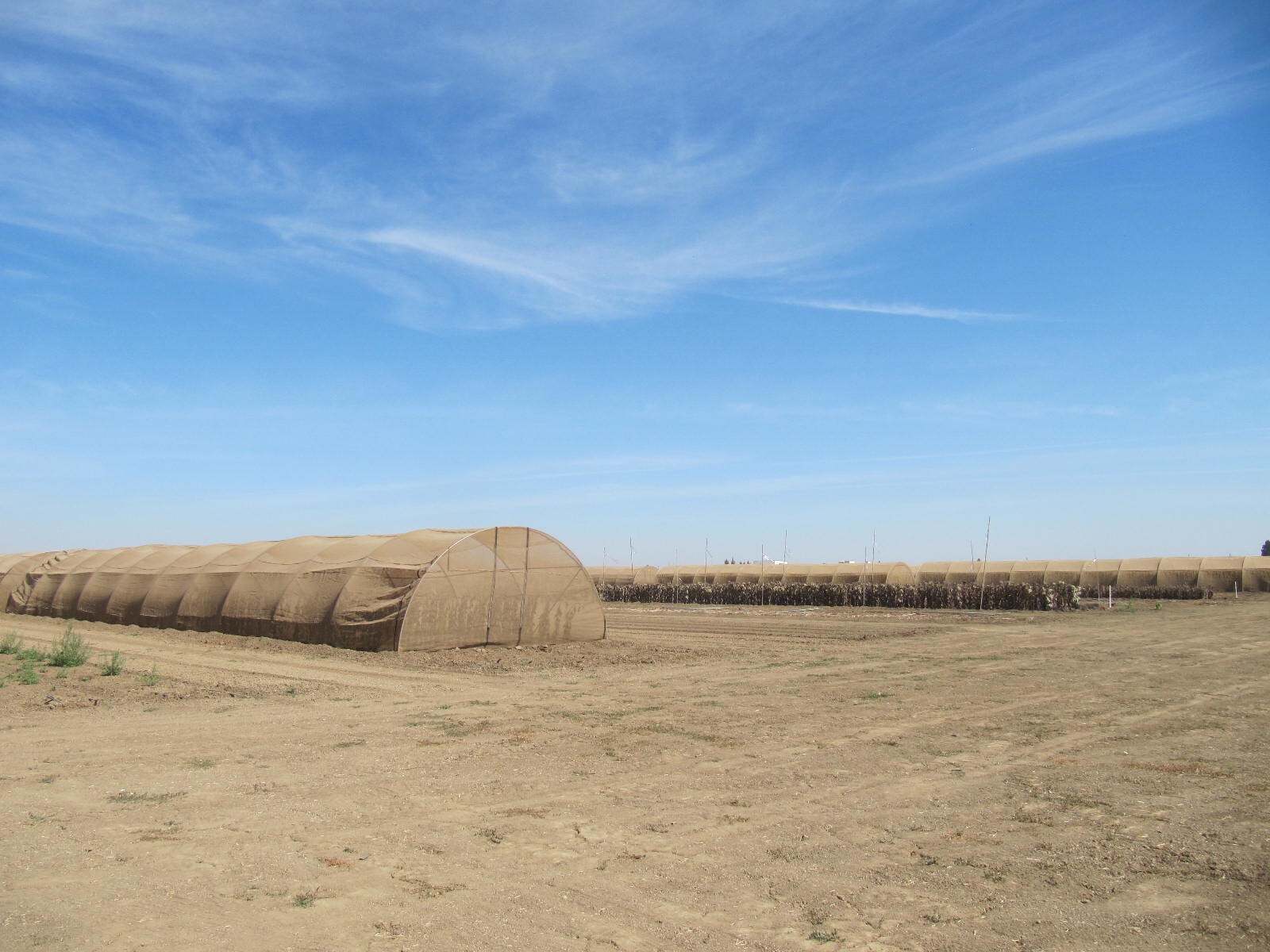 18565 County Road 95A, Woodland, CA for sale Other- Image 1 of 1