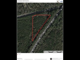 More details for 0 Highway 21, Talladega, AL - Land for Sale