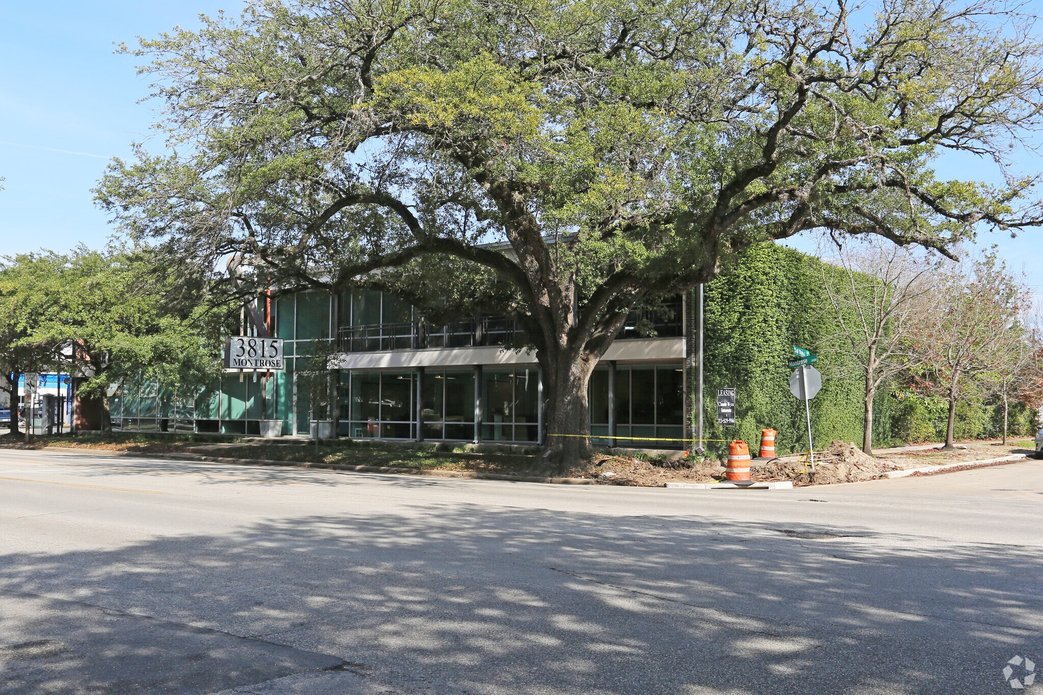 3815 Montrose Blvd, Houston, TX for sale Primary Photo- Image 1 of 9