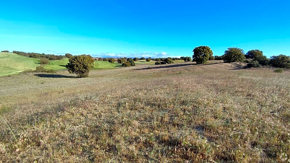 Land in Villamantilla, Madrid for sale - Primary Photo - Image 1 of 14