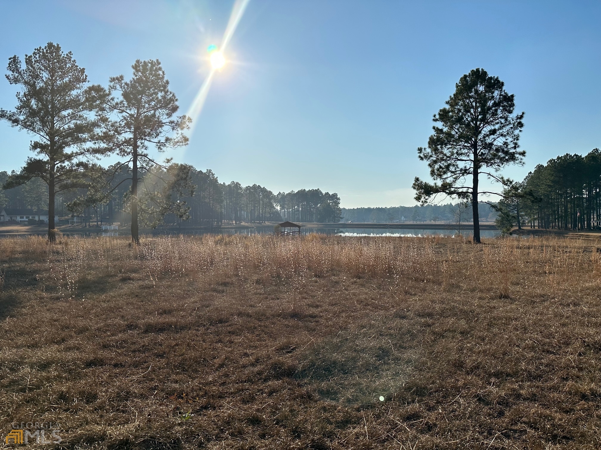 Land in Mc Rae Helena, GA for sale Primary Photo- Image 1 of 6