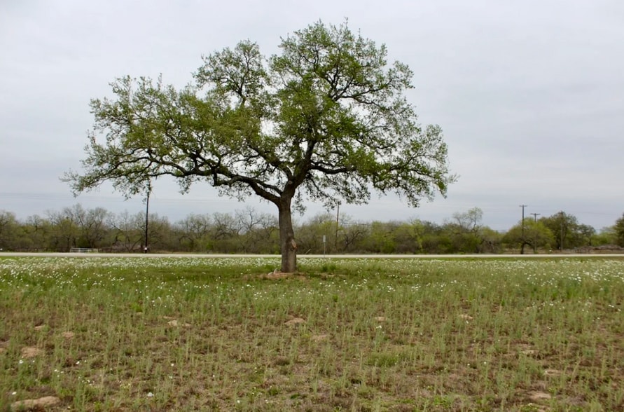 00 St Hwy 173, Bigfoot, TX for sale - Other - Image 2 of 2