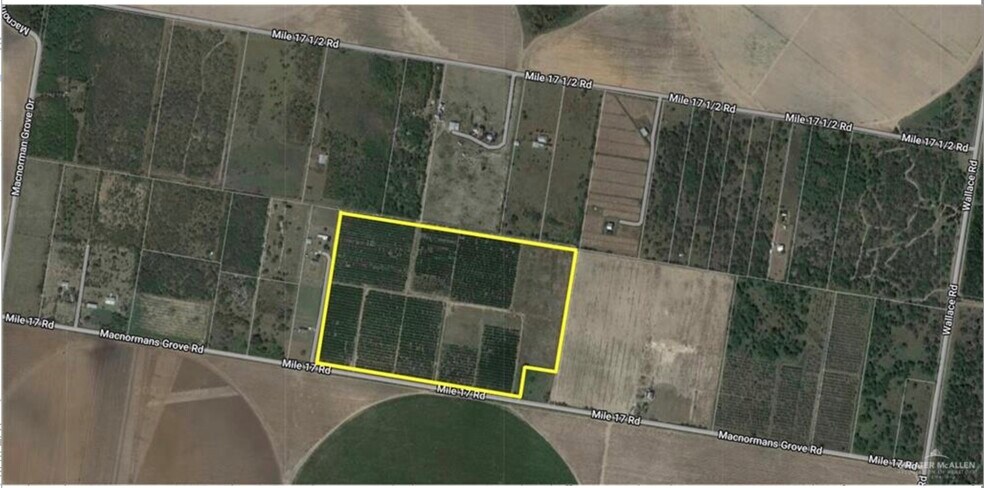 0 Mile 17 Rd, Edinburg, TX for sale - Building Photo - Image 1 of 1