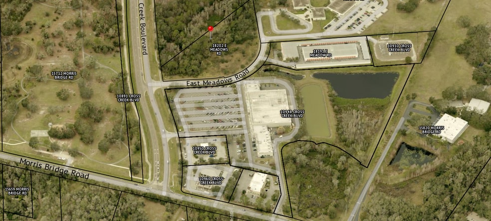 18202 Meadows rd, Tampa, FL for sale - Building Photo - Image 3 of 11