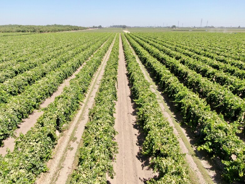 6297 E Springfield Ave, Fowler, CA for sale - Primary Photo - Image 1 of 1