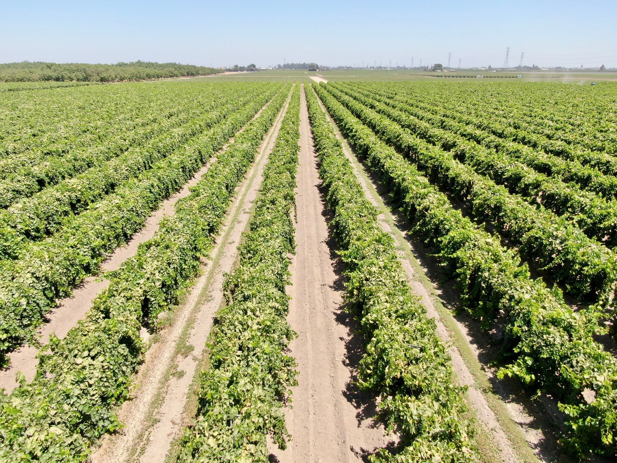 6297 E Springfield Ave, Fowler, CA for sale Primary Photo- Image 1 of 1