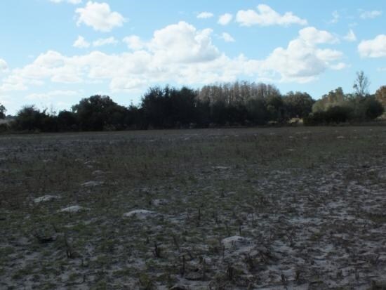 Acreage With Lake Front Property, Inglis, FL for sale Primary Photo- Image 1 of 1