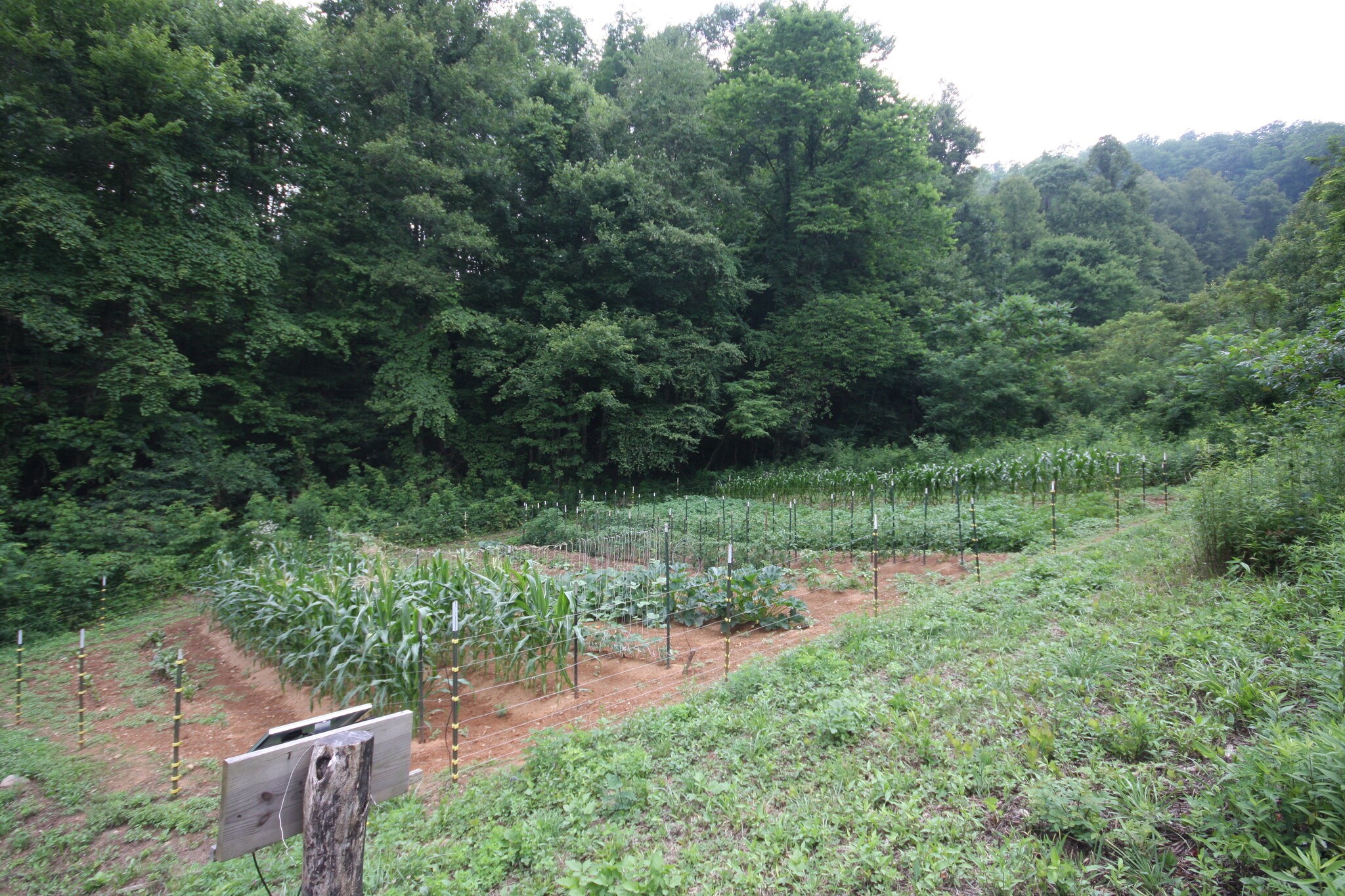 2341 Highway 212, Marshall, NC for sale Primary Photo- Image 1 of 1