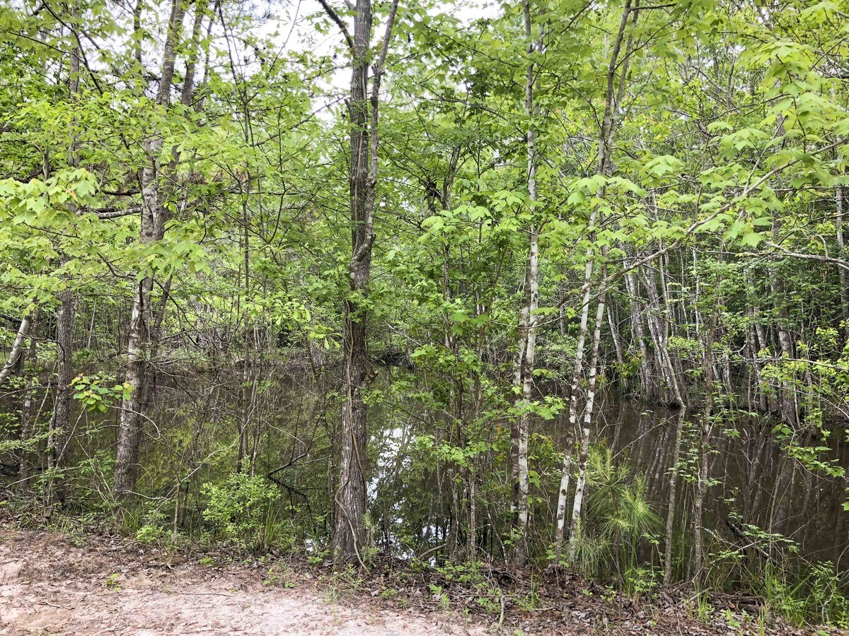 36168 Old Sour Lake Rd, Batson, TX 77585