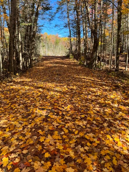 370 Route 3 N, Carroll, NH for sale - Building Photo - Image 3 of 5
