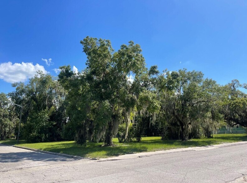 201 W Bay St, Wauchula, FL for sale - Primary Photo - Image 1 of 1