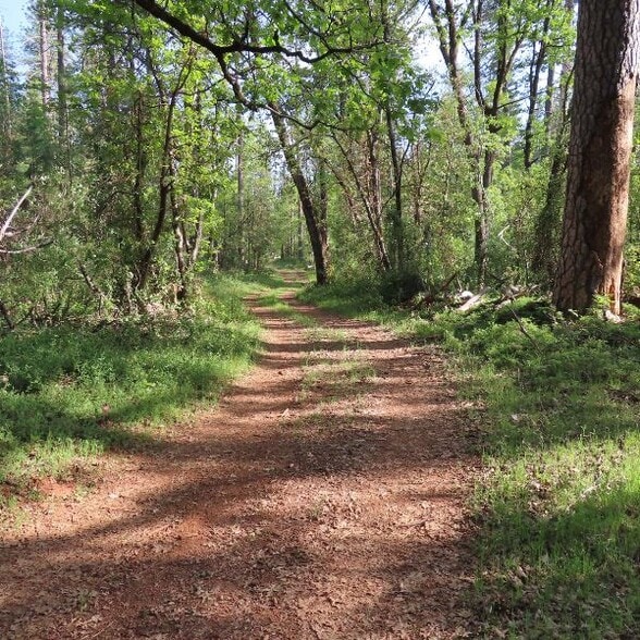 Vacant Land Spring Garden Road, Foresthill, CA for sale - Other - Image 1 of 7