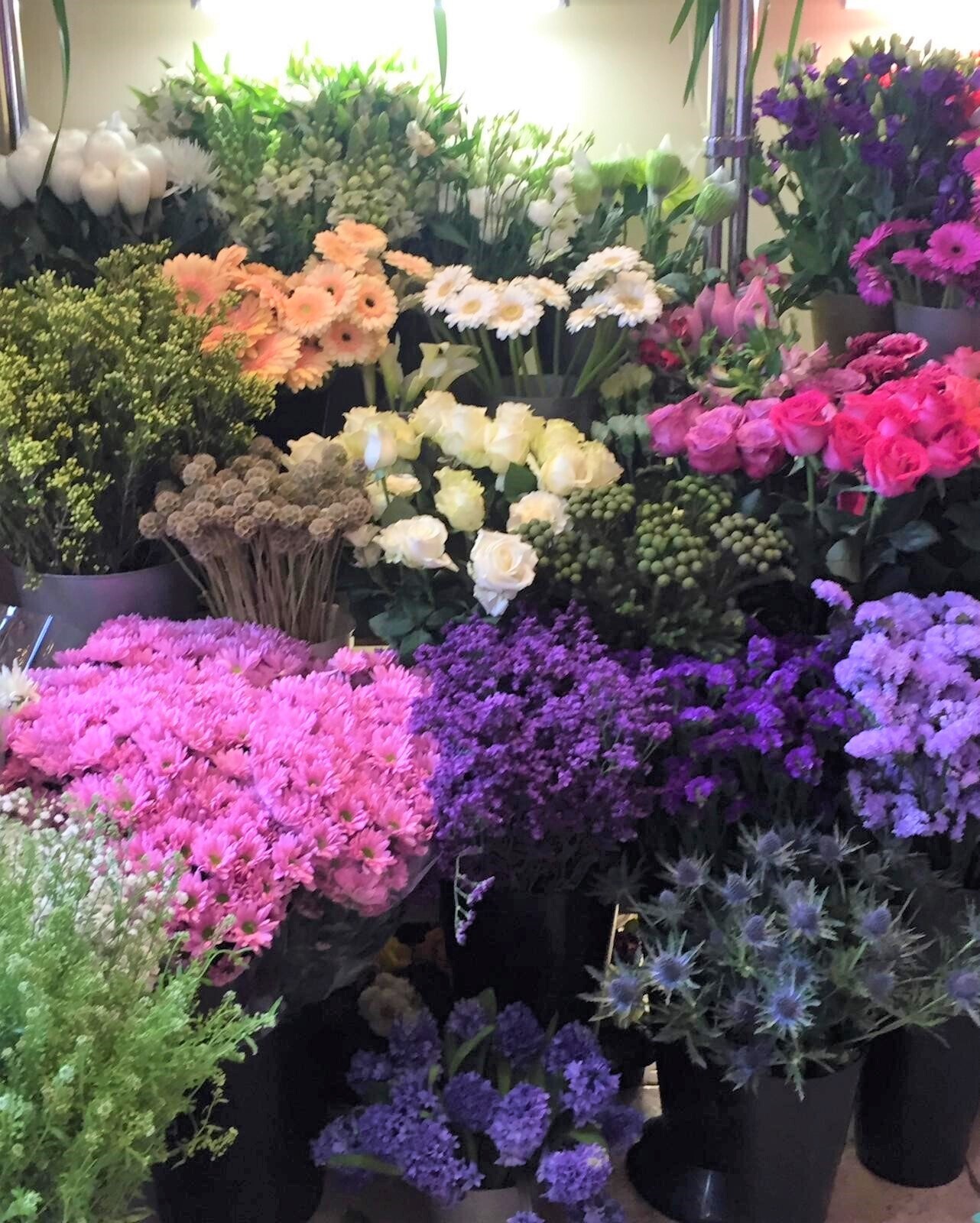 82-86 Paisley Rd, Renfrew for sale Building Photo- Image 1 of 1