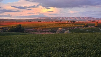 More details for 125498 W Mccreadie Rd, Prosser, WA - Land for Sale