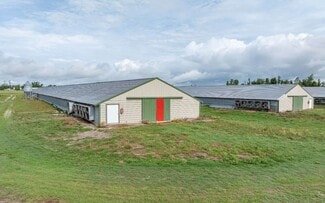 More details for SW Ford Road, Mayo, FL - Land for Sale