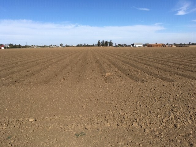 7689 Becker Rd, Davis, CA for sale Other- Image 1 of 1