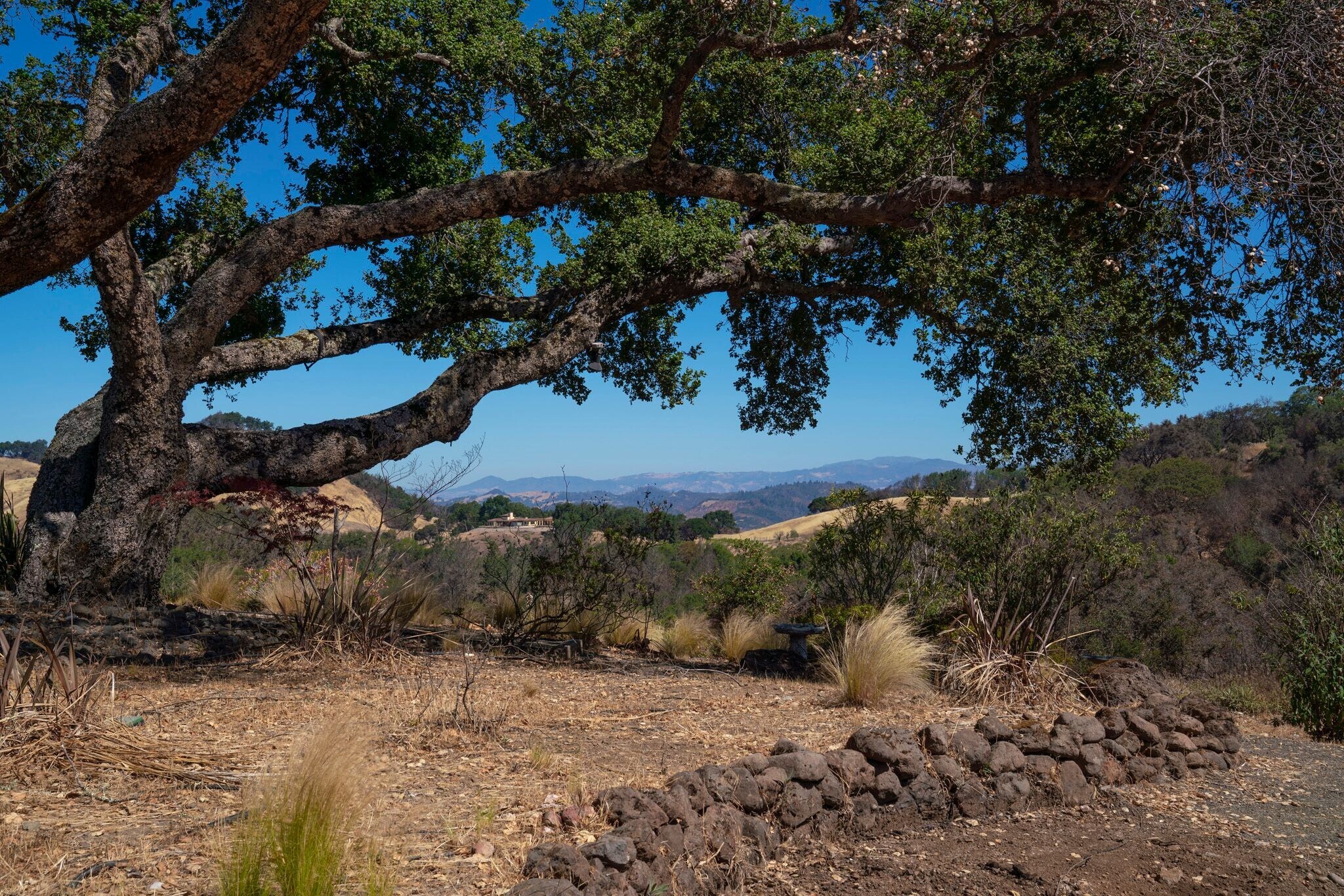 6560 Plum Ranch Rd, Santa Rosa, CA for sale Building Photo- Image 1 of 1
