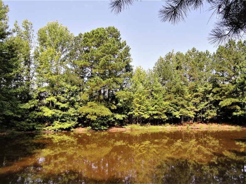 3323 Scotts Ferry Rd, Troy, SC for sale - Primary Photo - Image 1 of 1