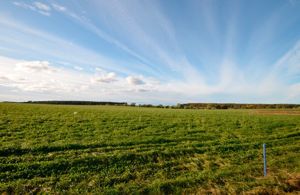Feddan Farm, Forres for sale - Primary Photo - Image 1 of 1