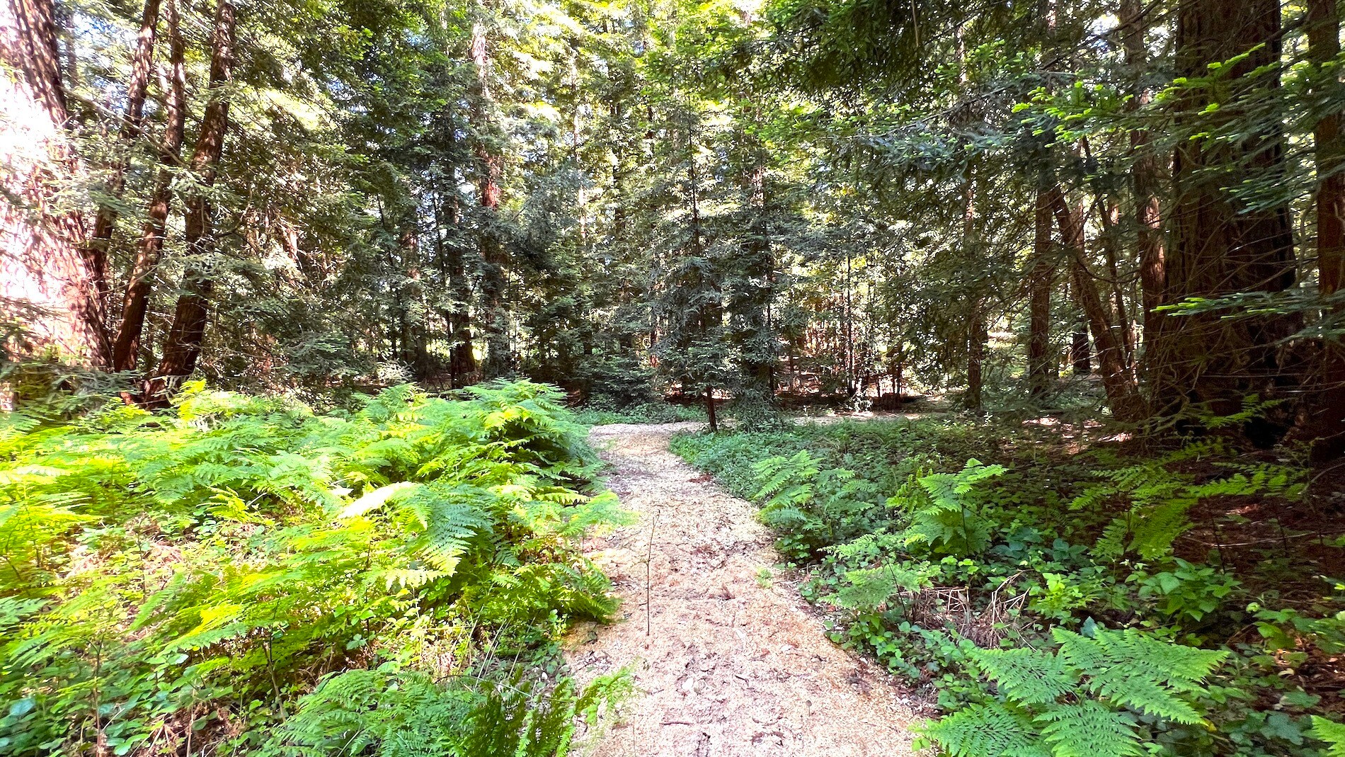 3675 Bonny Doon Rd, Santa Cruz, CA 95060 Bonny Doon Equestrian Park