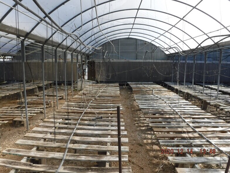 406 Greenhouse Ln, Martindale, TX for sale - Interior Photo - Image 1 of 1