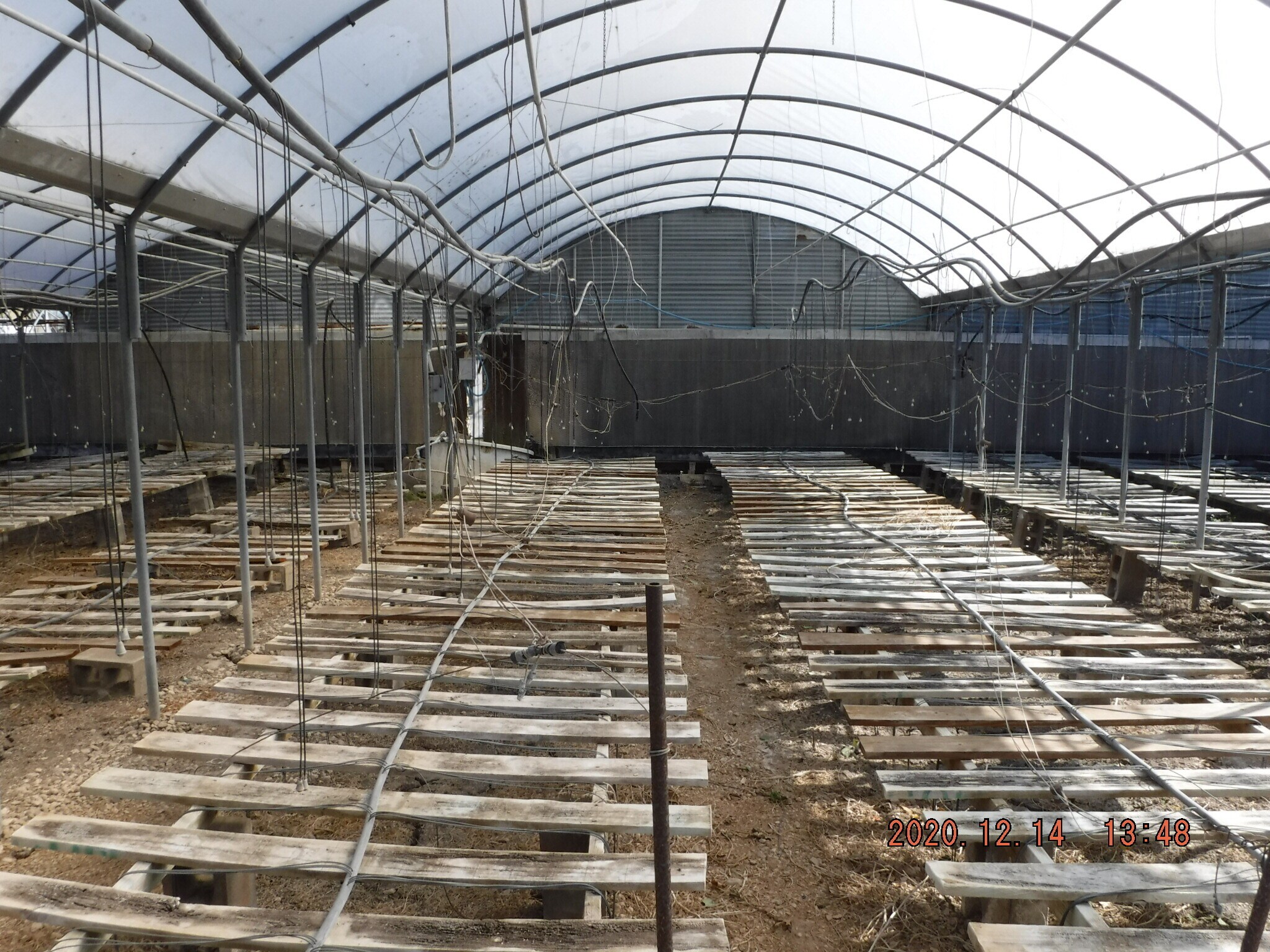 406 Greenhouse Ln, Martindale, TX for sale Interior Photo- Image 1 of 1