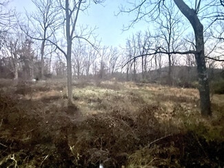 More details for 13022 Route 9W, West Coxsackie, NY - Land for Sale