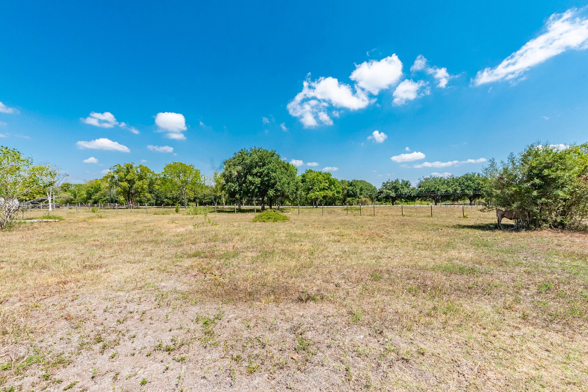 22221 Highway 6, Manvel, TX 77578 Retail for Sale