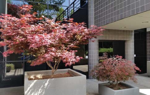 1450 Neotomas Ave, Santa Rosa, CA for sale Building Photo- Image 1 of 1