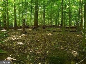 7116 Sylvan Glen Ln, Fairfax Station, VA for sale Primary Photo- Image 1 of 1