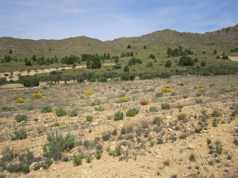 Land in MURCIA for sale - Building Photo - Image 2 of 4