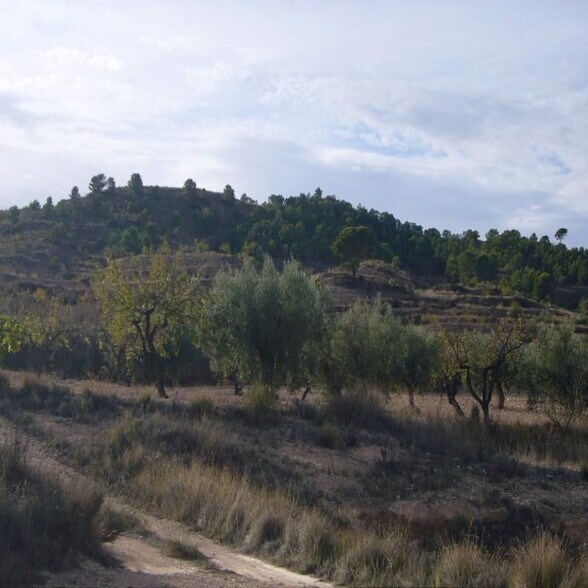 Land in Abanilla for sale - Building Photo - Image 2 of 21