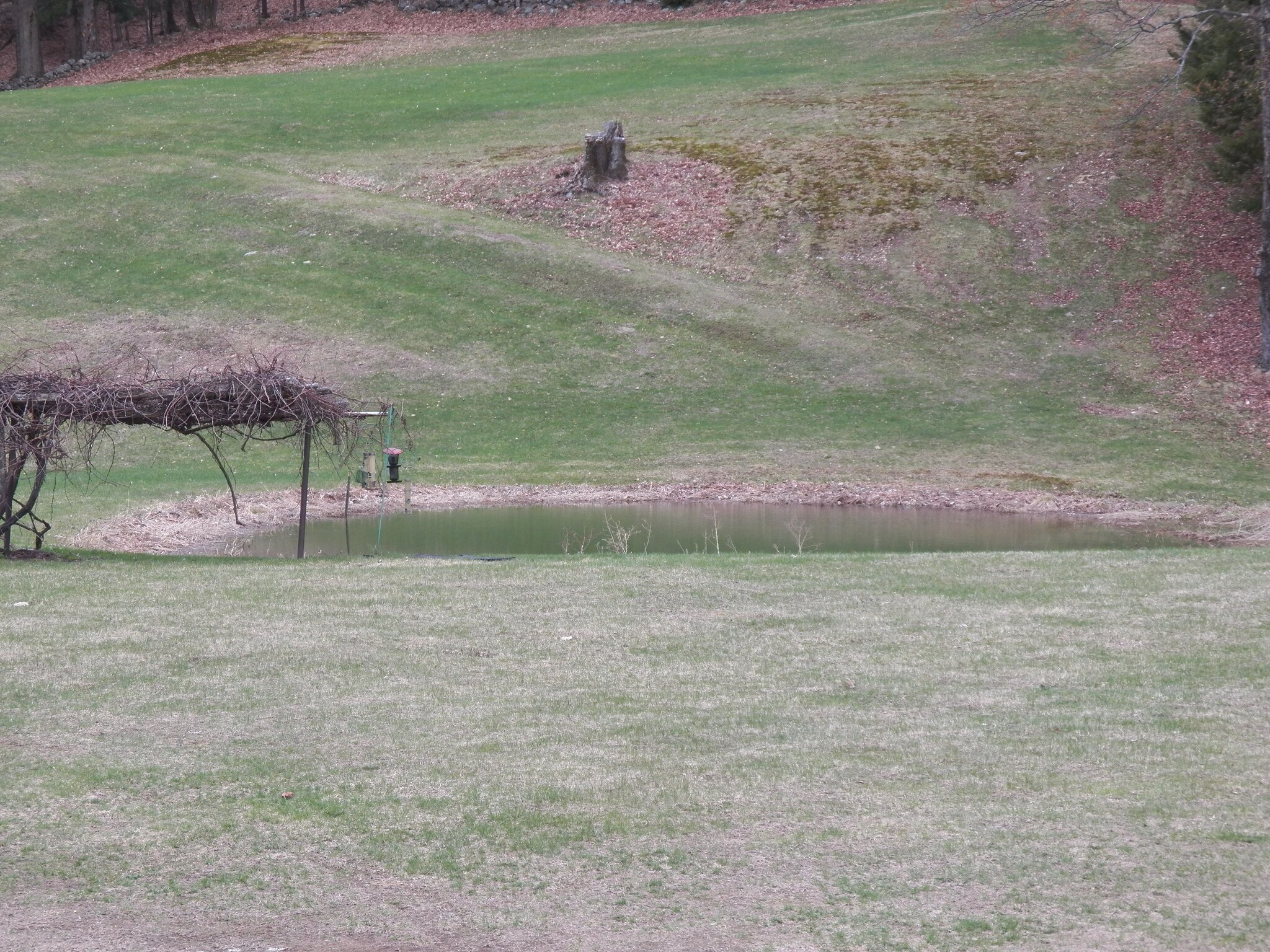 674 Old Walpole Rd, Surry, NH 03431 Green Acres Farm