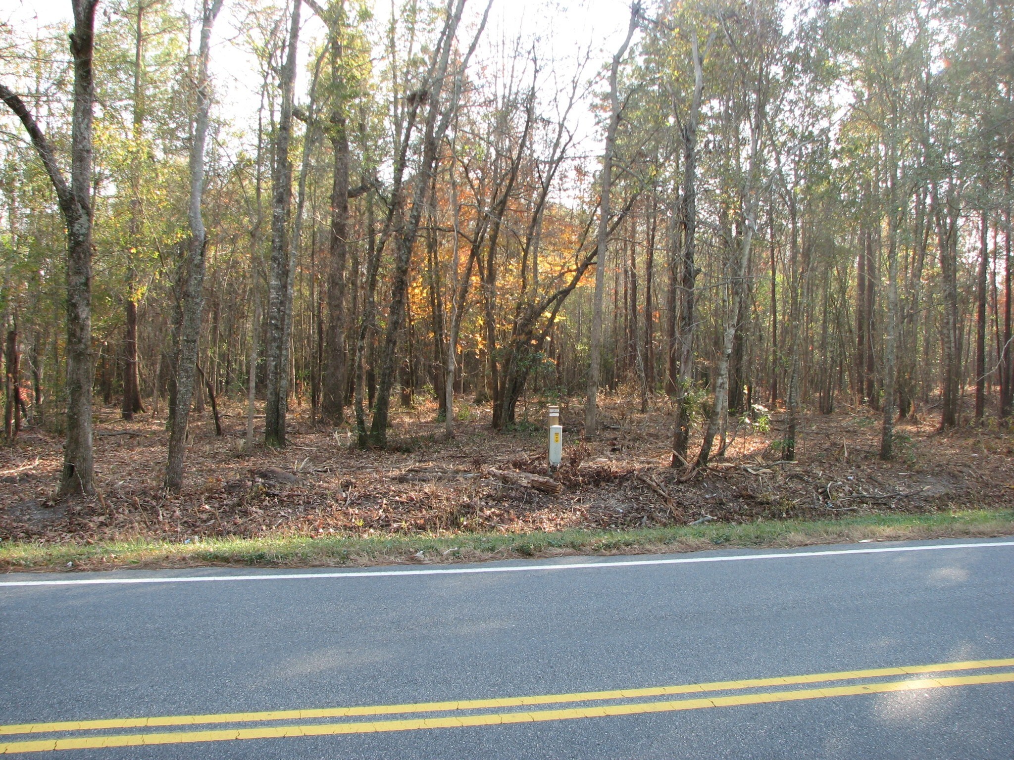 Green Sea Rd, Green Sea, SC for sale Primary Photo- Image 1 of 1