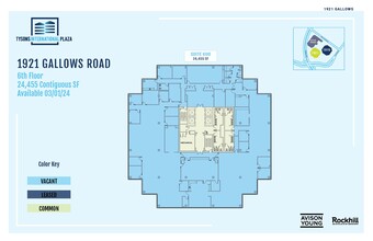 1919-1921 Gallows Rd, Vienna, VA for lease Floor Plan- Image 1 of 1