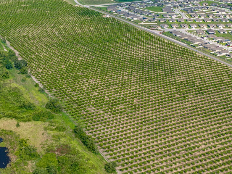 Lake Marie Dr, Dundee, FL for sale - Aerial - Image 3 of 31