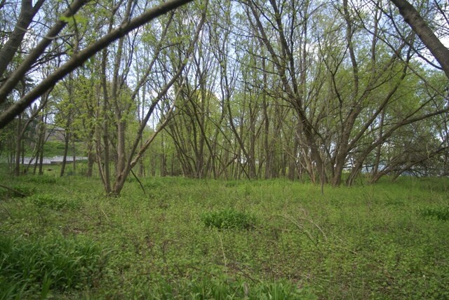 Genesee St, Chittenango, NY for sale Primary Photo- Image 1 of 1