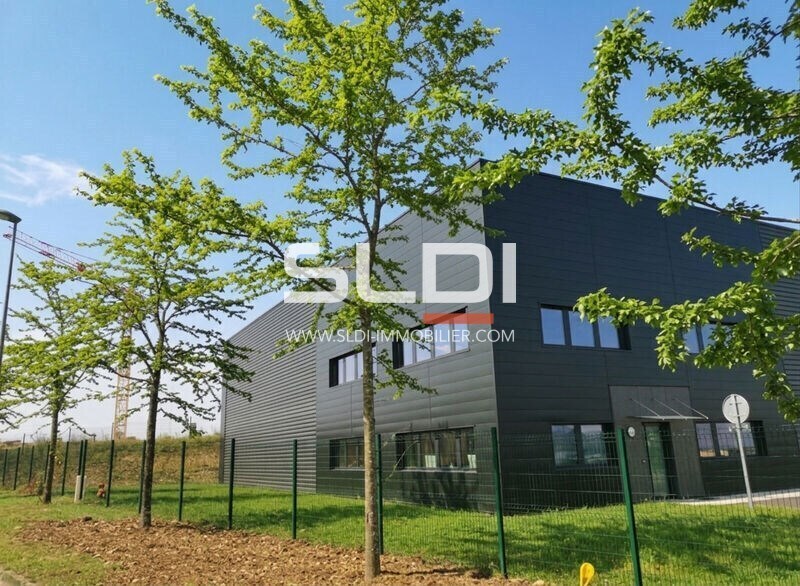 Boucle De La Ramée, Saint-Quentin-Fallavier for lease Building Photo- Image 1 of 10