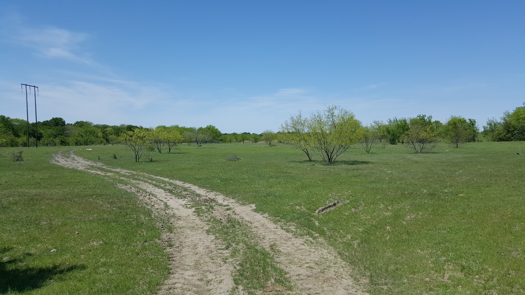 Highway 56, Southmayd, TX for sale Other- Image 1 of 8