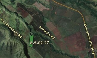 More details for Kaukonahua Rd, Waialua, HI - Land for Sale