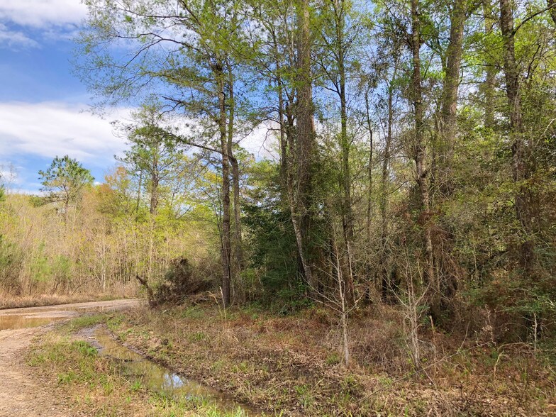 3132 CR, Mauriceville, TX 77632