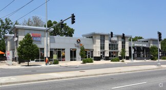 More details for 742 W Higgins Rd, Park Ridge, IL - Retail for Lease