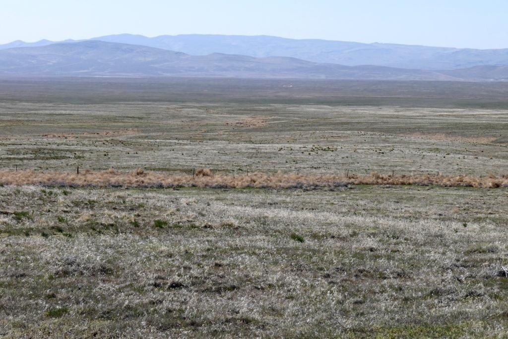 Willow Corral, Beowawe, NV 89821 | LoopNet