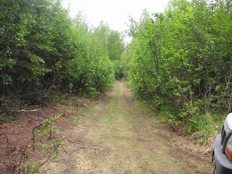 000 Goose Bay State Game Refuge, Wasilla, AK 99654